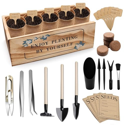 Zhaoyao Bonsai Tree Starter Kit, Indoor Bonsai Tree Kit Meeting Planting and Caring Needs Curated Design for A Complete Gardening Experience for Enthusiasts-no Seeds Included