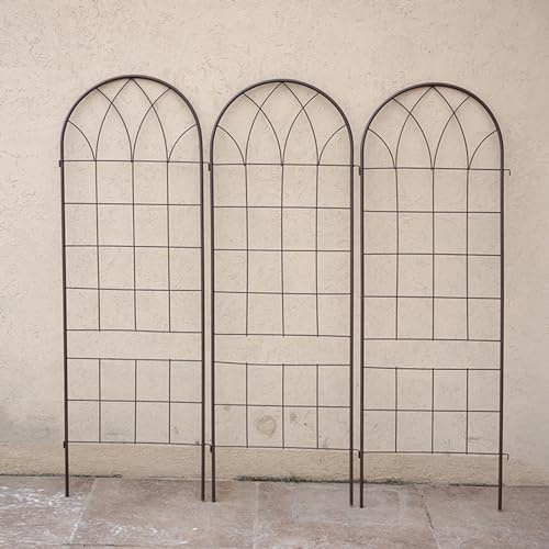 Iron Garden Trellis for Climbing Plants, Rustproof Plant Climbing Support Lattice, Iron Pipe Support Wall Tall Plant Trellis Fence for Ivy Vines Rose Clematis (Color : One, Size : Small)