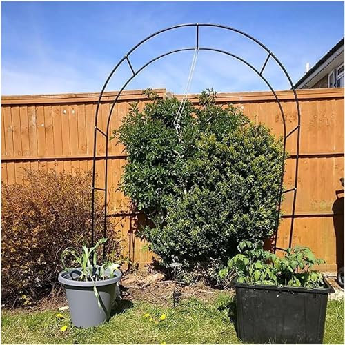 Kanduo Arche Jardin pour Arches de jardin vertes en métal, arches de jardin, plantes grimpantes, pergola durable, arches métalliques de jardin for bal de mariage Arche de gazebo de jardin(W1.2M*H2.2M)