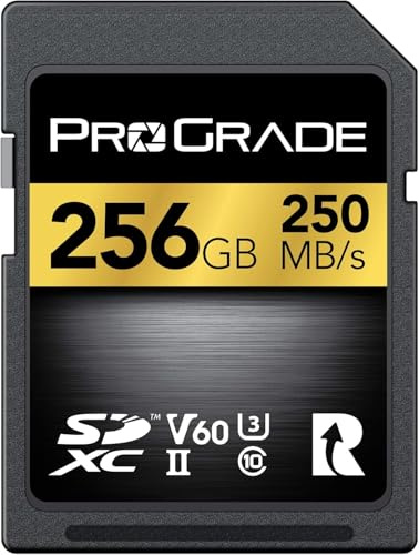SD UHS-II V60-kort på 256 GB – skrivhastighet på upp till 130 MB/s, läshastighet på 250 MB/s, för professionella vloggare, filmskapare, fotografer & innehållsskapare, av Prograde Digital