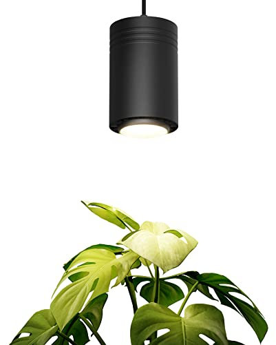 Aspect Large Black Luxury LED Grow Light – for Medium and Large Plants New Large White Luxury LED Grow Light – for Medium and Large Plants