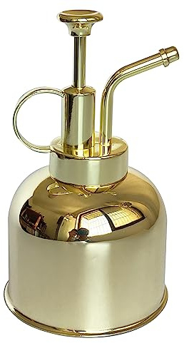 Lianshi Pflanzennebel Sprühflasche Edelstahl Pflanzensprüher, Kleine Gießkanne Pflanzensprühflasche Moderne Gartenwerkzeuge für Zimmer-Topfpflanzen Bewässerung und Sprühen