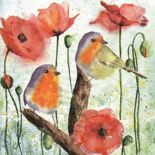 Jet Paper Approx. 33 x 33 cm 3-Ply Robin Birds Poppy Flowers Poppy Bird Animals and Spring Design Napkins