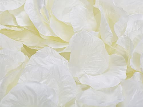 Lot de 1000 pétales de rose crème, 20 couleurs, confettis de fleurs artificielles, accessoires de décoration d'intérieur, idéal pour la Saint-Valentin, un mariage, des fiançailles, une fête