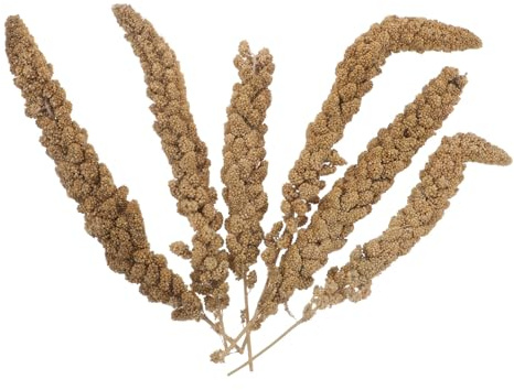 Alipis Pet Bird Snack Millet Treat for Pet Birds Natural Ingredients Millet Canaries and Lovebirds Easy Cage Setup