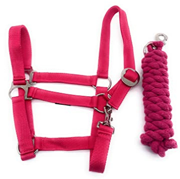 ARBO-INOX Halfter-Set Basic Halfter stufenlos verstellbar mit Führstrick (Pony, Fuchsia)
