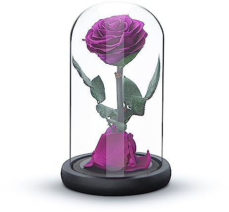INTIGNIS Purple Preserved Forever Rose in Glass Dome Gift, 20cm Tall Wooden Base