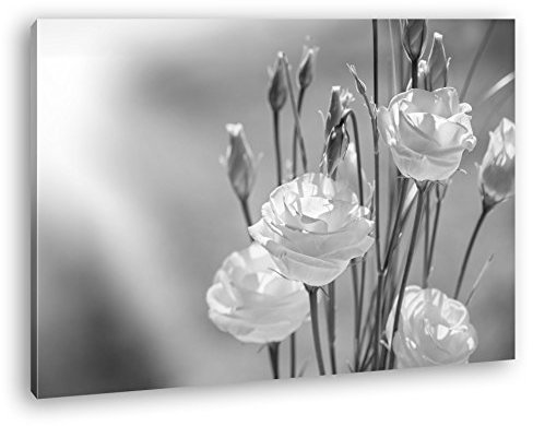 deyoli Bouquet de Fleurs Blanc Effet : Noir et Blanc sur Toile montée sur châssis en Bois véritable Impression numérique de Haute qualité sans Poster ou Poster, Toile, 80x60