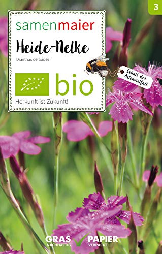 BIO Wildblumen - Heide-Nelke Samen - Rosa Blüten, 10-40 cm Höhe, Ausdauernd, Aussaat März bis Juli, Inhalt für ca. 15 Pflanzen - Samen Maier