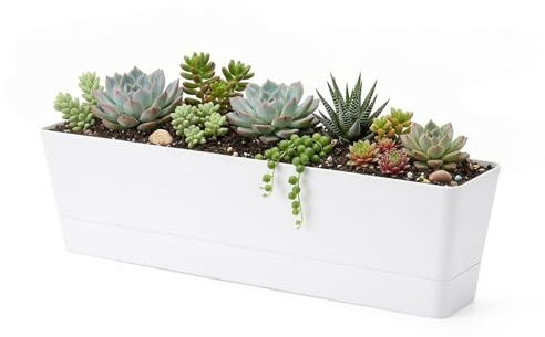 GREANER Large Window Boxes Planters, 1PCS 16x3.8 Inch White Vegetable Herb Planters with Tray, Indoor Succulent Cactus Flowers Plastic Rectangle Pot for Balcony, Office, Garden, Outdoor, Windowsill