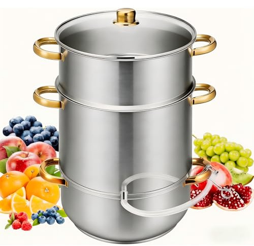 8,5 QT Dampfentsafter aus Edelstahl, Saftdampftopf für Obst und Gemüse mit Glasdeckel, Schlauch, Klemme, Schlaufengriffen, ideal für die Herstellung von frischem Saft, Gelee, und Saucen