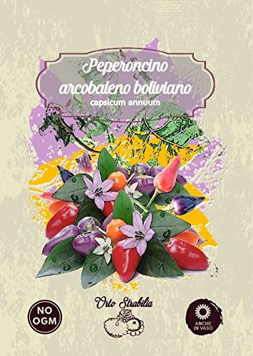 Peperoncino arcobaleno boliviano,gr 0.1,semi rari,semi strani, orto strabilia