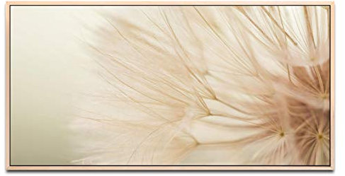 Löwenzahn ca. 130x70cm Wandbild inklusive Schattenfugenrahmen naturfarbend - Panorama Leinwand Bild XXL Format Wandbilder Wohnzimmer Wohnung Deko Kunstdrucke