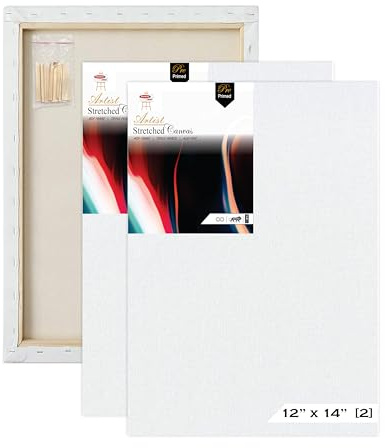 Variety Canvas 12 x 14 Inch 2 Piece Pre Stretched Canvas Board for Painting with Wooden Frame