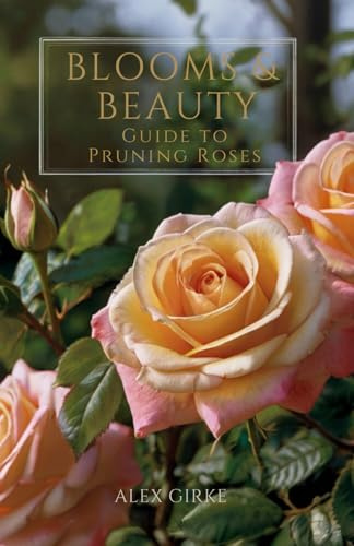 Bloom to Beauty: Home Gardners Guide to Pruning Roses