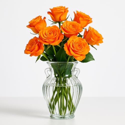 NiHome Glasvase 20 cm mit Griffen, Blumenvase aus Klarem Glas für Blumen, Moderne Vase für Tischdeko, Wohnzimmer, Hochzeit, Regal oder Schreibtisch, Dekorative Vasen für Tulpen, Rosen und Pampasgras
