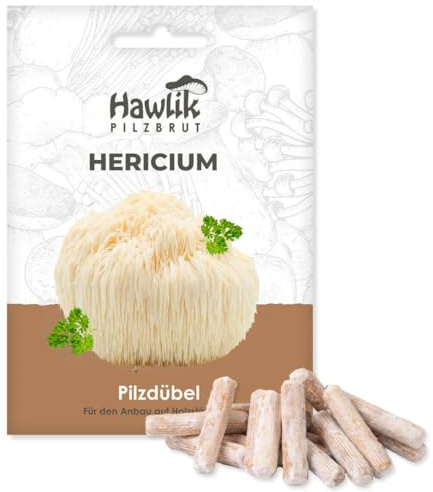 Hawlik Pilzbrut - Lion's Mane Myzel Pilzdübel - Igelstachelbart/Löwenmähne Pilzzucht-Dübel für den Anbau auf Holz - Pilze züchten Set für den Garten - Hericium erinaceus | Pilzzucht