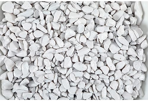 Zolux - Gravier Aqua Sand ekaï Blanc 5-12 mm Sac de 1 kg Aquarium