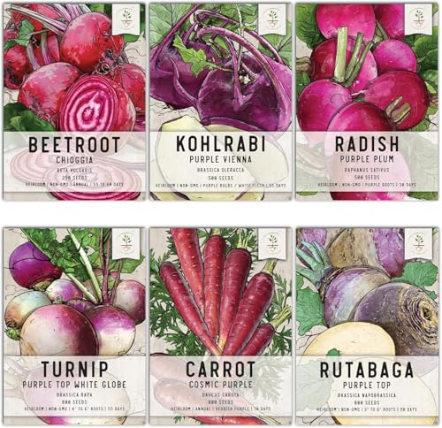 Seed Needs Edible Roots & Bulbs Variety Pack/Seed Collection Contains Rutabaga, Turnips, Beets, Radish & Kohlrabi - Grow a Home Grown Outdoor Vegetable Garden