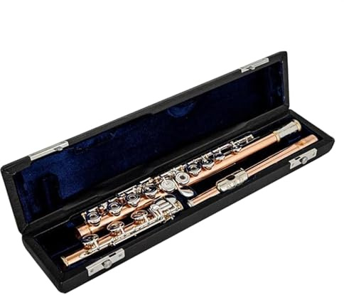 Phosphor-Kupfer-Körper, 17 Tasten, Flöte, Offenes Loch, E-Mechanismus, Flöte, Musikinstrument Querflöte für Anfänger