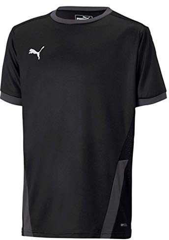 PUMA Herren, teamGOAL 23 Jersey Trikot