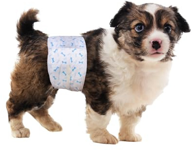Flying Paws S Hundewindeln (30-48cm) 40er Sparpaket, Einweg-Windeln für Rüden Auslaufsichere Hundewindeln mit Feuchtigkeitsindikator