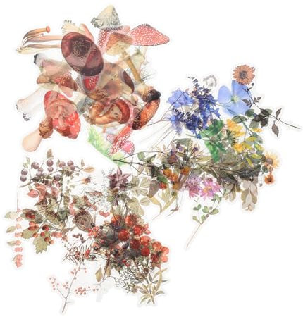 COHEALI Pflanzen Scrapbook Stickers 480 Stk Pflanzenaufkleber Transparente Aufkleber Süße Blumenaufkleber Vintage-sammelalbum Pflanzen Hand Aufkleber Blumenaufkleber Für Umschläge Anlage Das Haustier