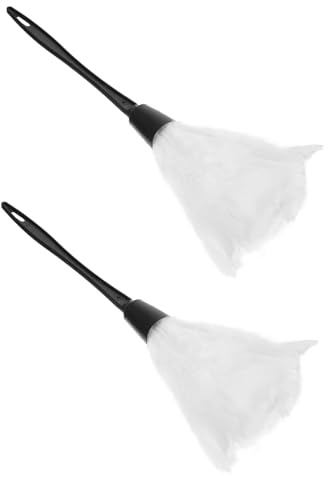 SAFIGLE 2pièces Plumeaux Décoratifs De Chambre Accessoires De Fête pour Halloween Cadeaux De Fête pour Garçon Fille
