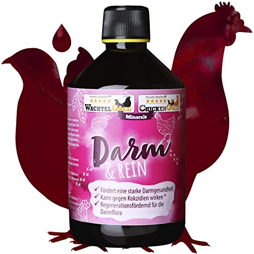 federgold Darm&Rein 500 ml – Kräuterzusatz für Geflügel | Flüssiger Trinkwasserzusatz mit Oreganoöl & Kräutern – unterstützt Verdauung, Futterverwertung & Wohlbefinden