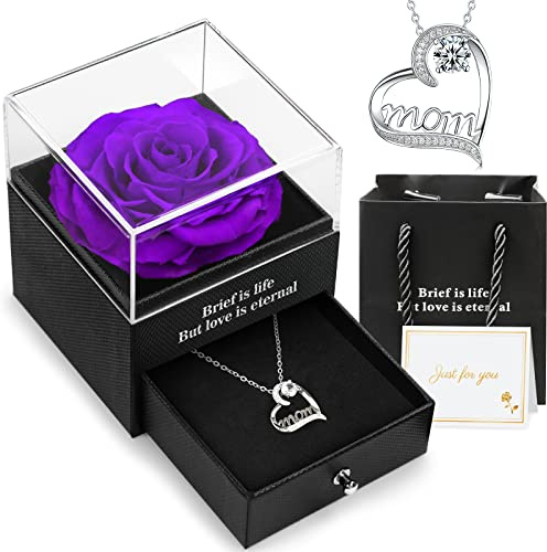 Hnustbo Festa Della Mamma Regalo Originale, Rosa Stabilizzata Vera Rosa eterna Con Collana, Regalo Natale Donna, Rosa Eterna Stabilizzata, Regali San Valentino Regalo Natale Compleanno per la Mamma