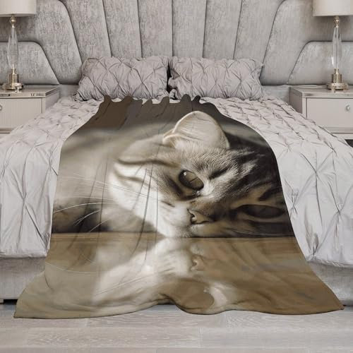Überwurfdecke für Bett, leichte Flanelldecke, weich, gemütlich, Couchdecke mit Plüsch, warm, schlafende Katzendecke für Sofa, Bett, alle Jahreszeiten, 76,2 x 127 cm