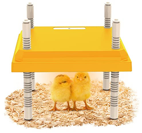 Plaque Electrique pour Poussins 25x25cm, Plaque Chauffante Poussin Réglable en Hauteur, lampe Chauffante pour Poussins,poule Artificielle pour Poulets Canards Volailles