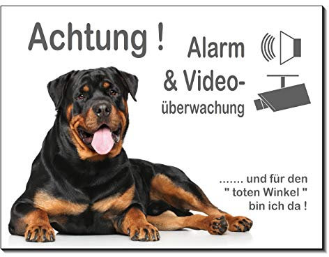 Rottweiler-Alarm-Videoüberwachung-Video-Schild-3 Größen-Aluminium Verbund-Hund-Tierschild-Warnschild-Hinweisschild (1451-82 -300 x 200 x 2 mm mit Löcher)