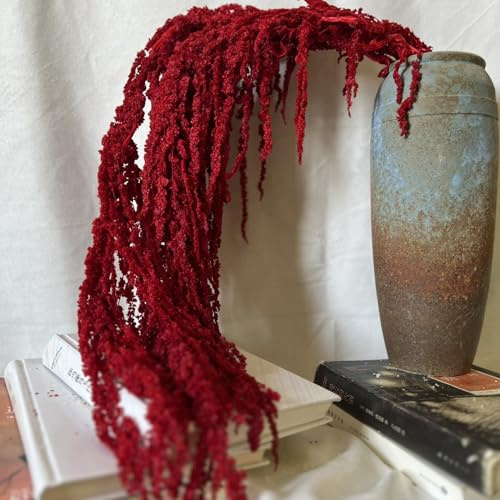 Bouquet de flores secas, 24-31.5 colgante Amaranthus seco, flores de vides naturales realistas, plantas reutilizables para el ramo de bodas Decoración de la fiesta del hogar, rojo oscuro, flor