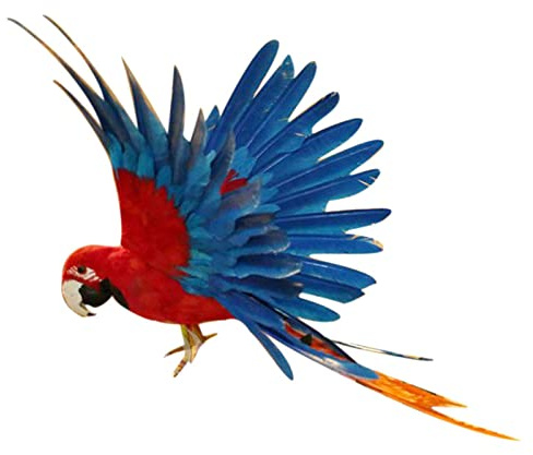 perfk Künstlicher Vogel Deko Tiere Figur Dekovogel Federvogel Dekofigur, 15,7 Zoll Rot und Blau
