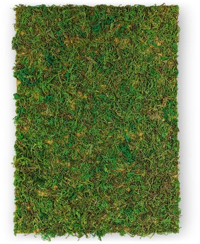 Netuno Moosplatte Verde A4 297 x 210 mm Naturmusgo sobre Fibra Textil Musgo Decorativo para Manualidades y decoración Alfombra de Musgo para decoración DIY para Pascua Navidad floristería