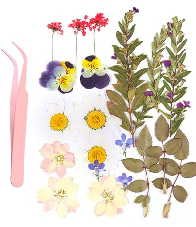 MYGLOAR 21 piezas de hojas prensadas secas, especímenes de plantas, pétalos de hojas mixtas, hojas secas naturales reales, artesanías de resina, adornos de decoración DIY(mariposa flor del amor)