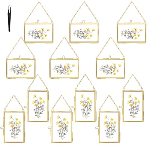 12 Pcs Double Glass Frame for Pressed Flowers,Floating Hanging Photo Christmas Ornaments Frame Brass Frames with Chain for Wall Display Gallery Artwork,Clear Vertical Horizontal Display for Botanical Art,Picture,Stamps,Gallery Decor,Gold