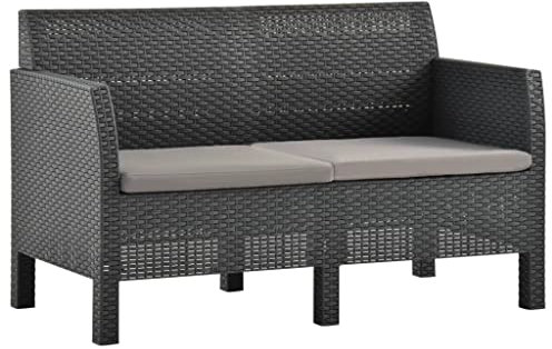 vidaXL Divano da Giardino 2 Posti con Cuscini in Rattan PP Antracite