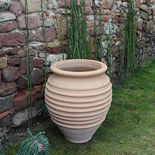 Palatina Werkstatt Terracotta Amphore Ficus 50 cm – Pièce unique 100 % fabriquée à la main – Le pot de fleurs idéal pour l'intérieur et l'extérieur