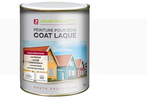 PEINTURE POUR BOIS : COAT LAQUE-Blanc-Bidon de 5 l