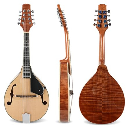 La Mandolina Un Instrumento Musical Profesional Para Adultos Es Resistente Y Duradera Set De Mandolina