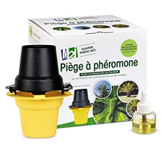 Achat nature M2I - Kit piège + phéromone Charançon Rouge du Palmier