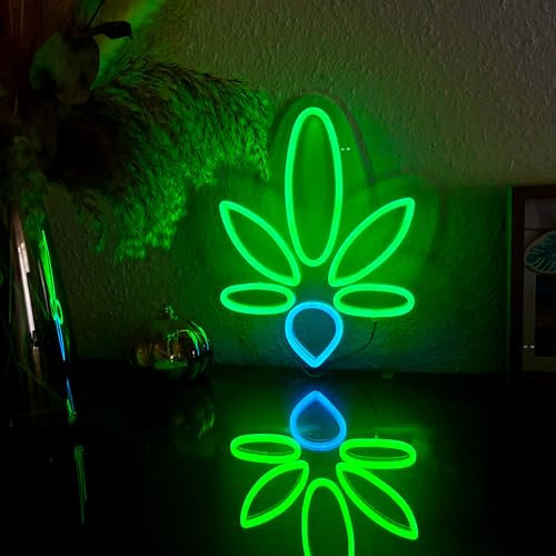 DrainMaster LED Neonschild, 5V USB betriebene Leuchtreklame für Wand, Party, Dekoration, Schlafzimmer, Zuhause, Bar, Männerhöhle, 30 * 24,5cm