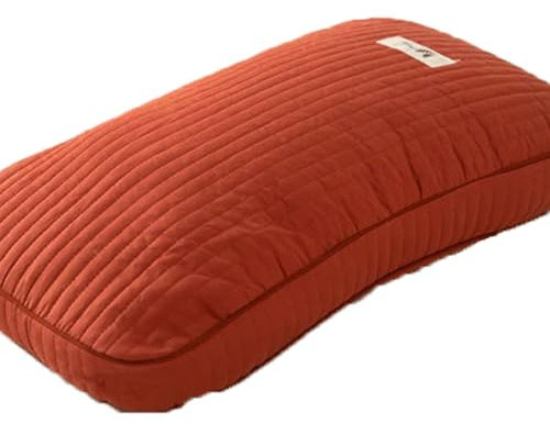 Qxmiguel Oreiller en Sarrasin Entier pour Les dormeurs sur Le côté, Le Dos et Le Ventre, Oreiller de lit pour Dormir, Taille Standard 30 x 50 cm, Oreiller Dur