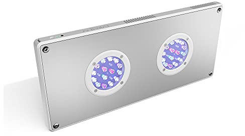 Hydor Wi-Fi Led Lampe AQAMAI REEF M für Meerwasseraquarien, per App steuerbar, mit Zubehör, Weiß