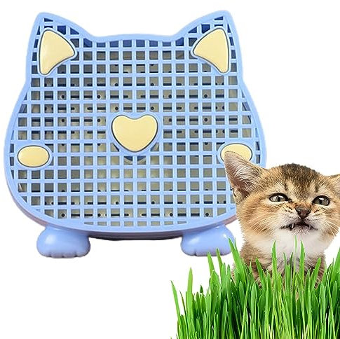 Hailerio Cat Grass Planter Cat Grass Planter Tray Cat Grass Planter Tray Cat Grass Box Planter Pet Sprout Dish Growing Pot For Indoor Cats 15x13.6cm