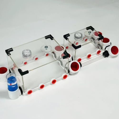 3D-Druck, unbegrenzte Erweiterung, Ameisenformicarium, umweltfreundliches Pflaster, Ameisennest, Ameisenfarm, Aryl, Insektenameisen-Lebensraum für STEM-Lernen