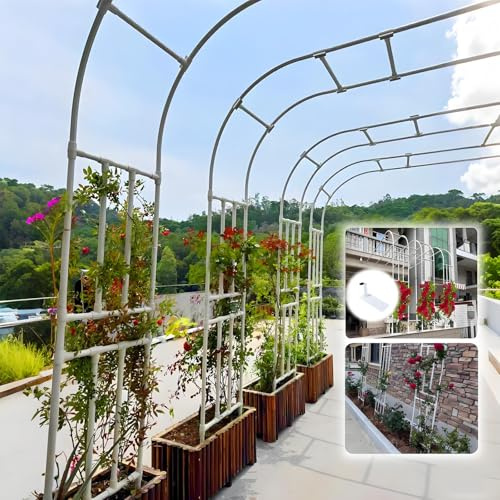 ZCFLWR Arche de Jardin en métal à Demi-Face, pergola de Jardin, vignes grimpantes, décoration extérieure, Treillis, 120 cm, 150 cm, 180 cm, 220 cm, 240 cm, 300 cm, avec Base (Blanc, l 150 x H 240 c