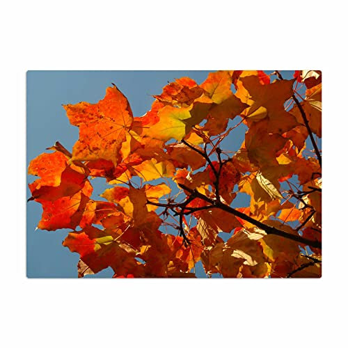 Vero Home 18642 Glas-Schneidebrett | Motiv Natur Herbst | rutschfest, kratzfest und lebensmittelecht | Maße: 39 x 29 cm